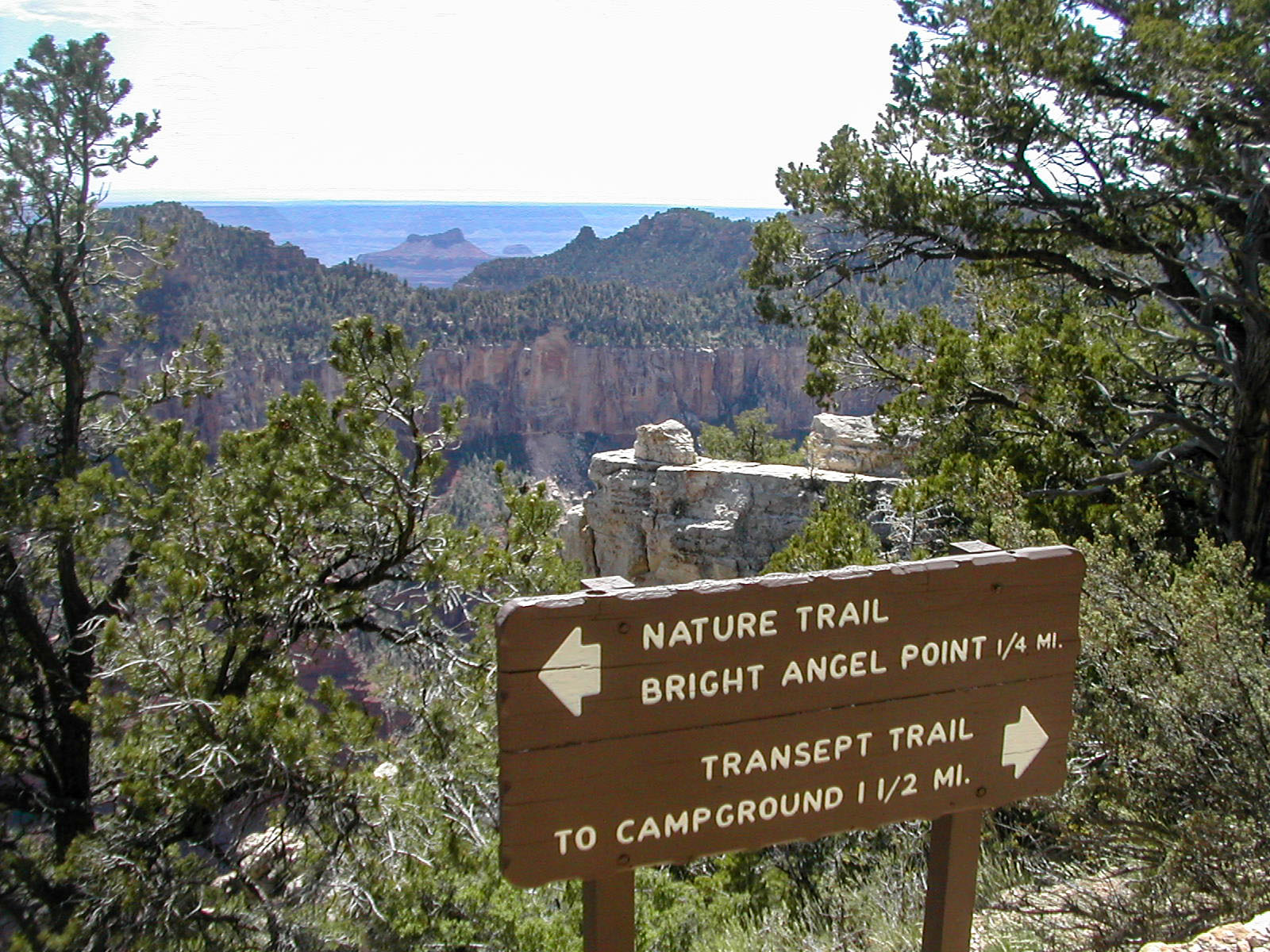 North Rim of the Grand Canyon – Sandra Friend